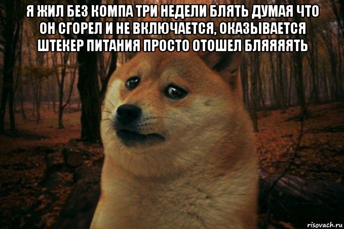 я жил без компа три недели блять думая что он сгорел и не включается, оказывается штекер питания просто отошел бляяяять , Мем SAD DOGE