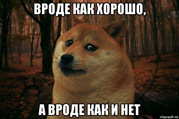 вроде как хорошо, а вроде как и нет, Мем SAD DOGE