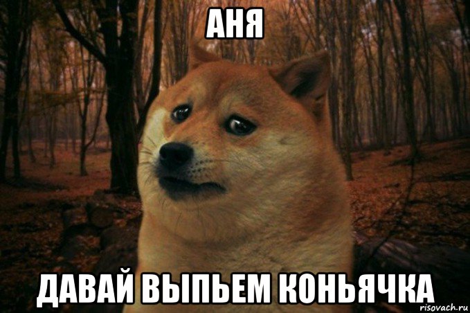 аня давай выпьем коньячка, Мем SAD DOGE