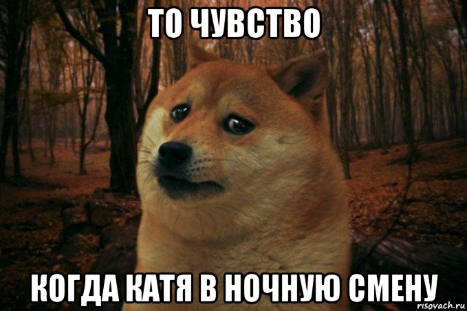 то чувство когда катя в ночную смену, Мем SAD DOGE