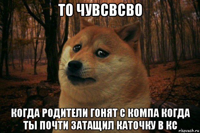 то чувсвсво когда родители гонят с компа когда ты почти затащил каточку в кс, Мем SAD DOGE