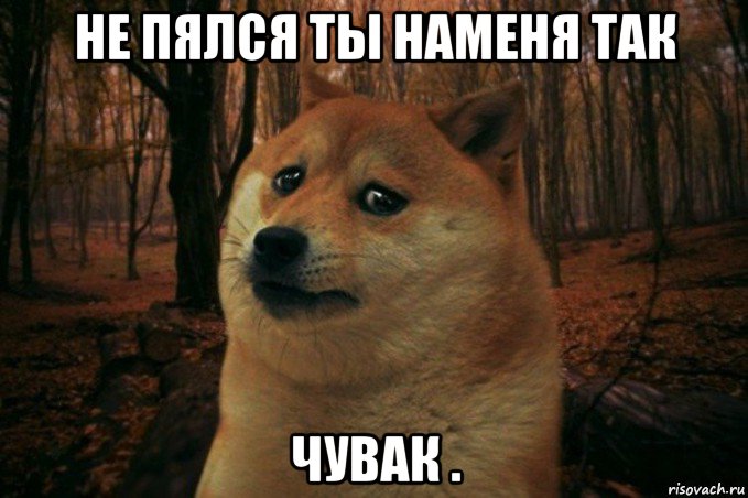 не пялся ты наменя так чувак ., Мем SAD DOGE