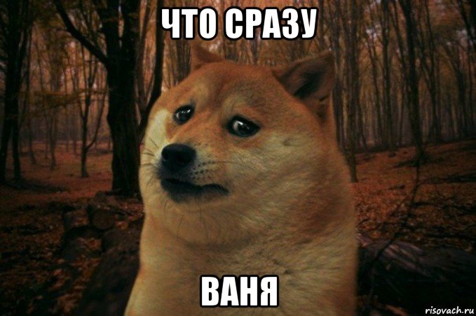 что сразу ваня, Мем SAD DOGE