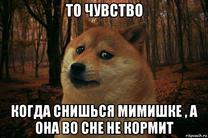 то чувство когда снишься мимишке , а она во сне не кормит, Мем SAD DOGE