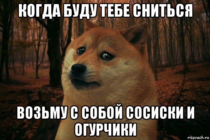 когда буду тебе сниться возьму с собой сосиски и огурчики, Мем SAD DOGE