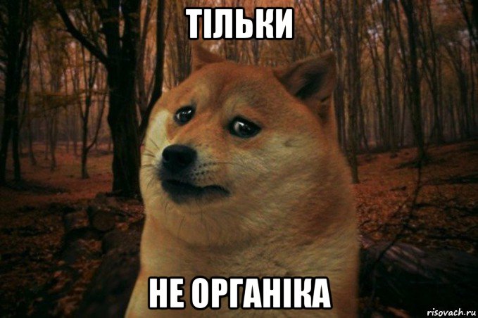 тільки не органіка, Мем SAD DOGE