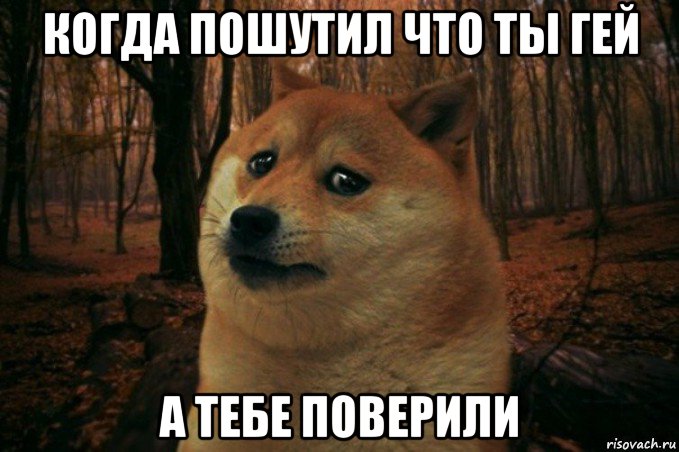 когда пошутил что ты гей а тебе поверили, Мем SAD DOGE