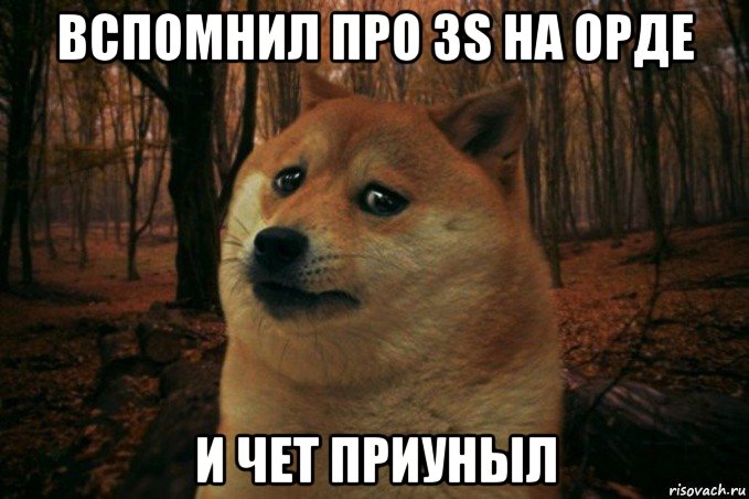 вспомнил про 3s на орде и чет приуныл, Мем SAD DOGE