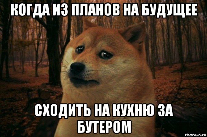 когда из планов на будущее сходить на кухню за бутером, Мем SAD DOGE