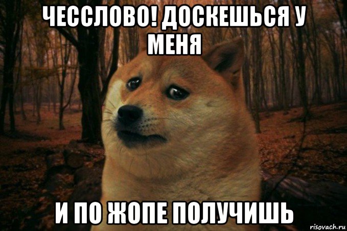 чесслово! доскешься у меня и по жопе получишь, Мем SAD DOGE