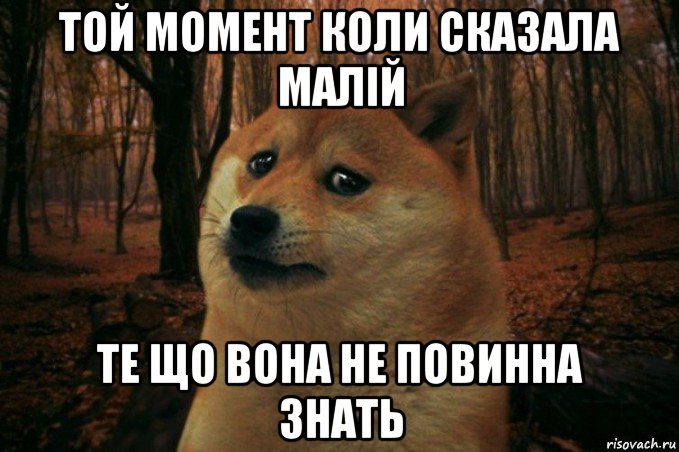 той момент коли сказала малій те що вона не повинна знать, Мем SAD DOGE