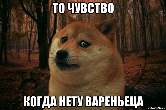 то чувство когда нету вареньеца, Мем SAD DOGE