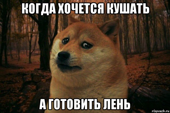 когда хочется кушать а готовить лень, Мем SAD DOGE