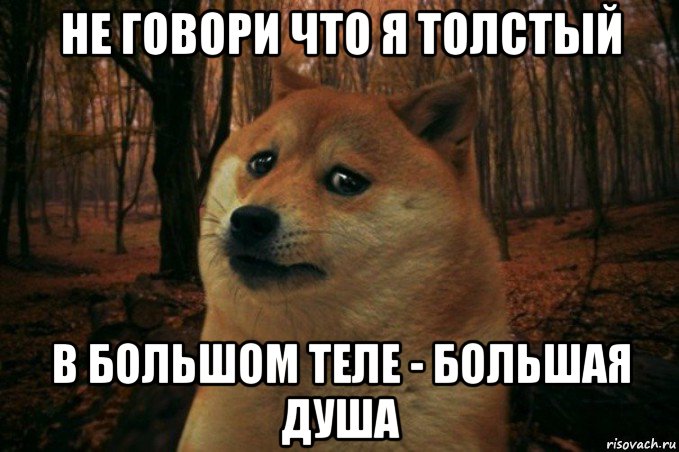 не говори что я толстый в большом теле - большая душа, Мем SAD DOGE