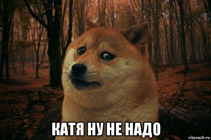  катя ну не надо, Мем SAD DOGE