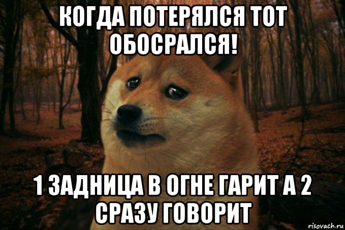 когда потерялся тот обосрался! 1 задница в огне гарит а 2 сразу говорит, Мем SAD DOGE