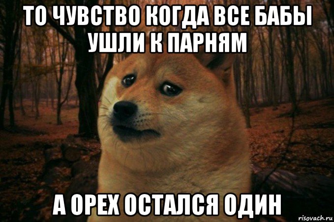 то чувство когда все бабы ушли к парням а орех остался один, Мем SAD DOGE