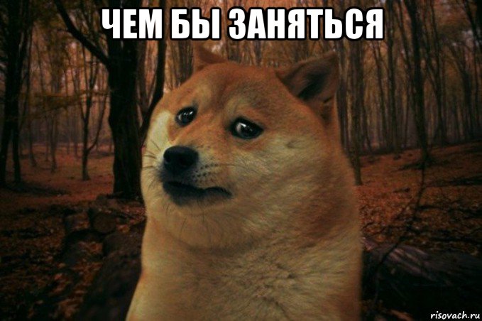 чем бы заняться , Мем SAD DOGE