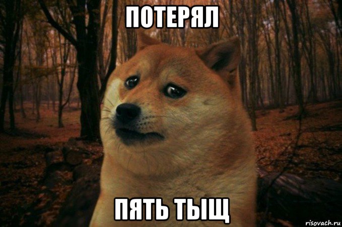 потерял пять тыщ, Мем SAD DOGE