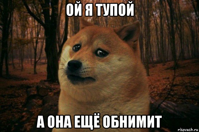 ой я тупой а она ещё обнимит, Мем SAD DOGE