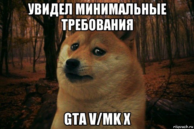 увидел минимальные требования gta v/mk x, Мем SAD DOGE