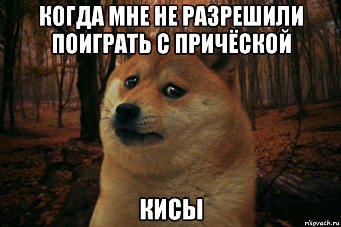 когда мне не разрешили поиграть с причёской кисы, Мем SAD DOGE