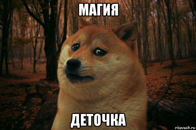 магия деточка, Мем SAD DOGE