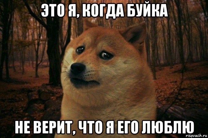 это я, когда буйка не верит, что я его люблю, Мем SAD DOGE