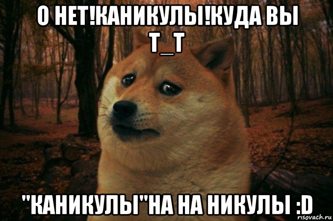 о нет!каникулы!куда вы т_т "каникулы"на на никулы :d, Мем SAD DOGE