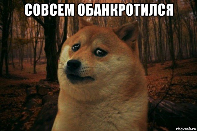 совсем обанкротился , Мем SAD DOGE