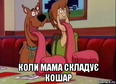  коли мама складує кошар, Мем Скуби ду