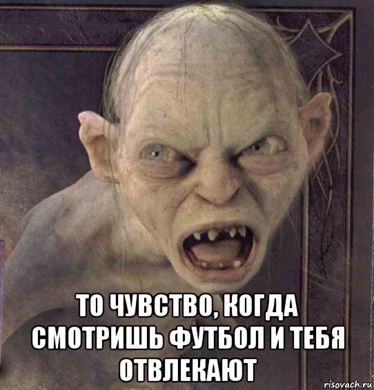  то чувство, когда смотришь футбол и тебя отвлекают