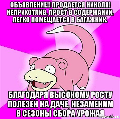 объявление!! продается николя! неприхотлив, прост в содержании, легко помещается в багажник. благодаря высокому росту полезен на даче, незаменим в сезоны сбора урожая, Мем слоупок