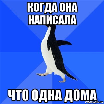 когда она написала что одна дома, Мем  Социально-неуклюжий пингвин