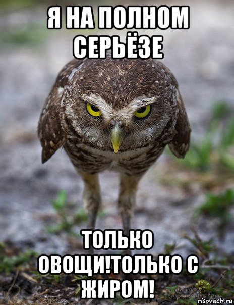 я на полном серьёзе только овощи!только с жиром!, Мем сова на полном серьезе