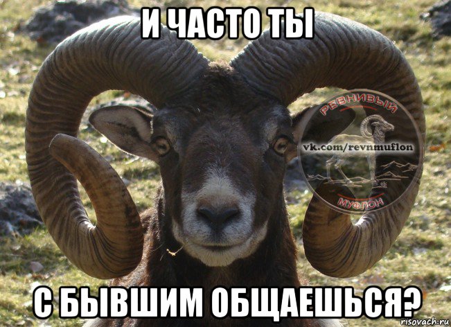 и часто ты с бывшим общаешься?