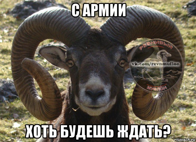 с армии хоть будешь ждать?