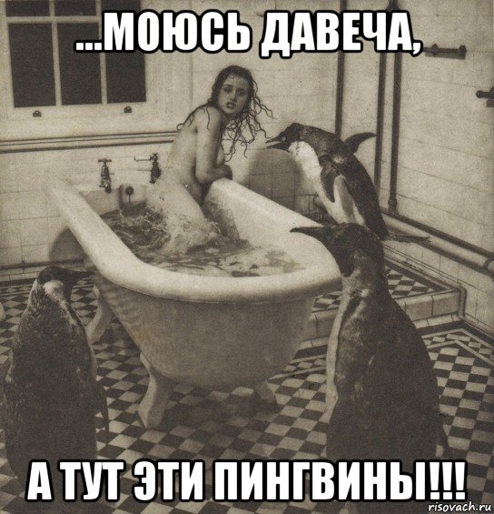 ...моюсь давеча, а тут эти пингвины!!!, Мем Столбняк