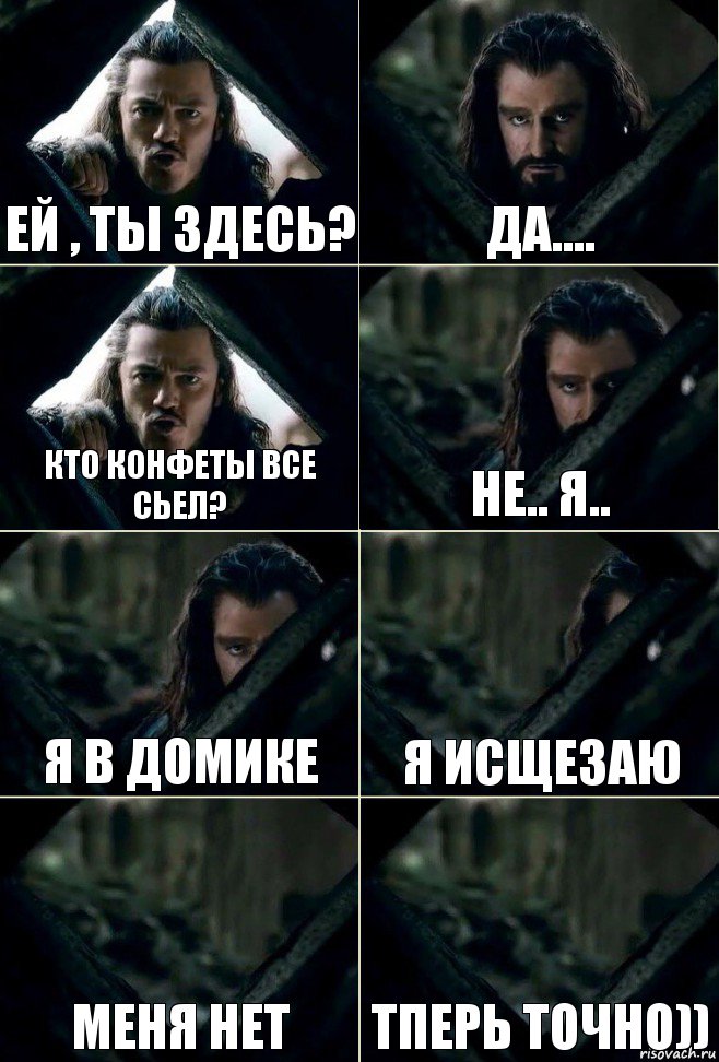 Ей , ты здесь? Да.... Кто конфеты все сьел? не.. я.. я в домике я исщезаю меня нет тперь точно))