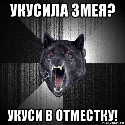 укусила змея? укуси в отместку!, Мем Сумасшедший волк