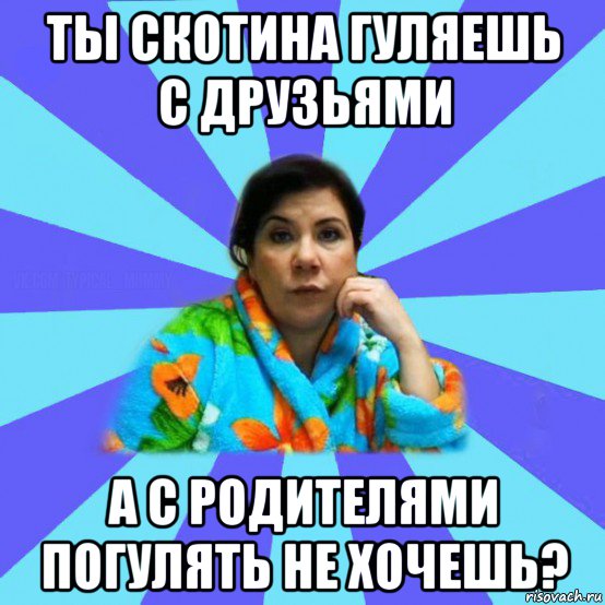 ты скотина гуляешь с друзьями а с родителями погулять не хочешь?, Мем типичная мама