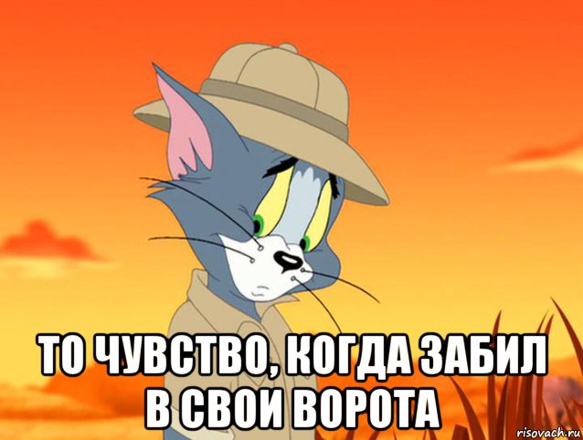  то чувство, когда забил в свои ворота, Мем Том