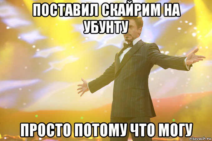 поставил скайрим на убунту просто потому что могу, Мем Тони Старк (Роберт Дауни младший)