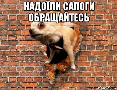 надоїли сапоги обращайтесь 