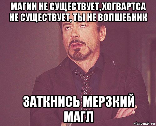 магии не существует, хогвартса не существует, ты не волшебник заткнись мерзкий магл, Мем твое выражение лица