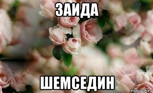 заида шемседин