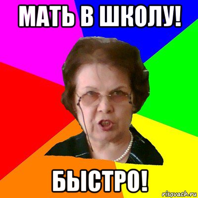 мать в школу! быстро!, Мем Типичная училка