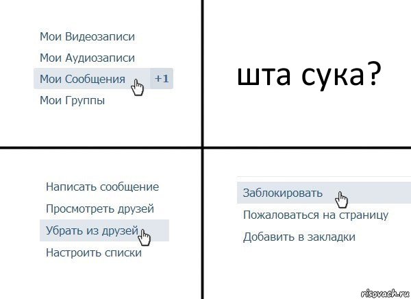 шта сука?, Комикс  Удалить из друзей