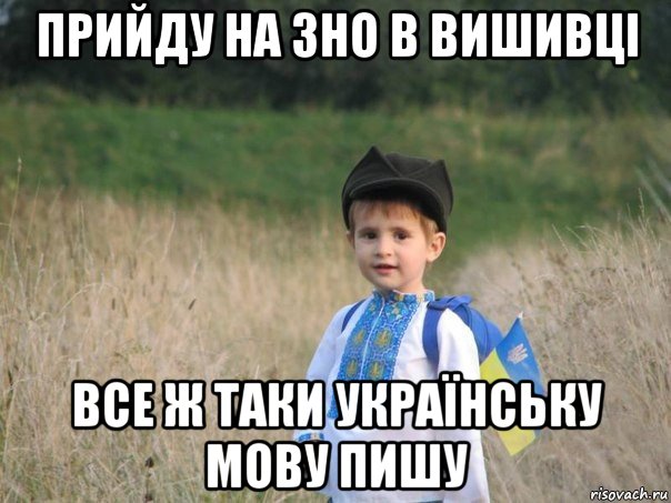 прийду на зно в вишивці все ж таки українську мову пишу, Мем Украина - Единая