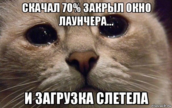 скачал 70% закрыл окно лаунчера... и загрузка слетела, Мем   В мире грустит один котик